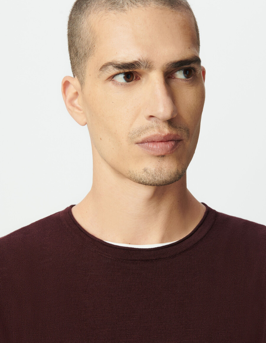 maglione da uomo in maglia fine di cotone biologico color prugna