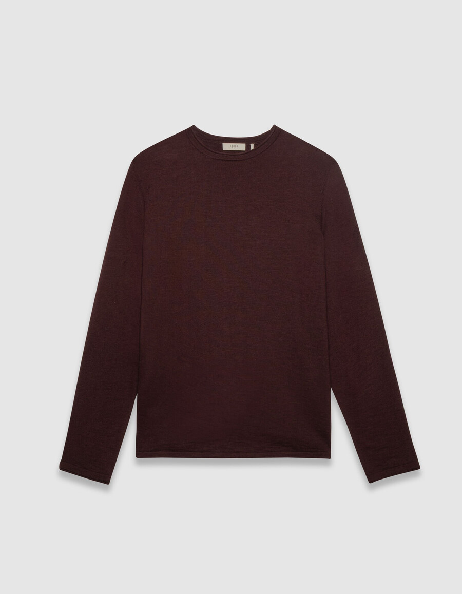maglione da uomo in maglia fine di cotone biologico color prugna